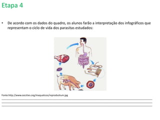 Etapa 4
• De acordo com os dados do quadro, os alunos farão a interpretação dos infográficos que
representam o ciclo de vida dos parasitas estudados:
Fonte:http://www.oocities.org/maquaticos/reprodsolium.jpg
_________________________________________________________________________________________________________________
_________________________________________________________________________________________________________________
_________________________________________________________________________________________________________________
 