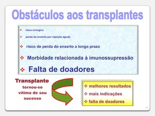 4Fernando delRincon-Museu do PradoSão Cosme eSão DamiãoFra Angélico  -   FlorençaDia 27 de setembro  -  Dia Nacional do Doador Protagonistas: receptor e doador