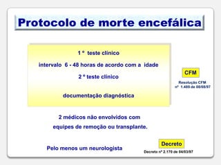  pelecélulasalo-compostos células hematopoiéticas