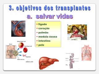  Decreto nº 2.268 de 30/06/97	