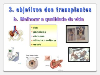  Resolução CFM nº  1.489 de 08/08/97	