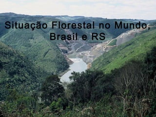 Situação Florestal no Mundo,
Brasil e RS
 