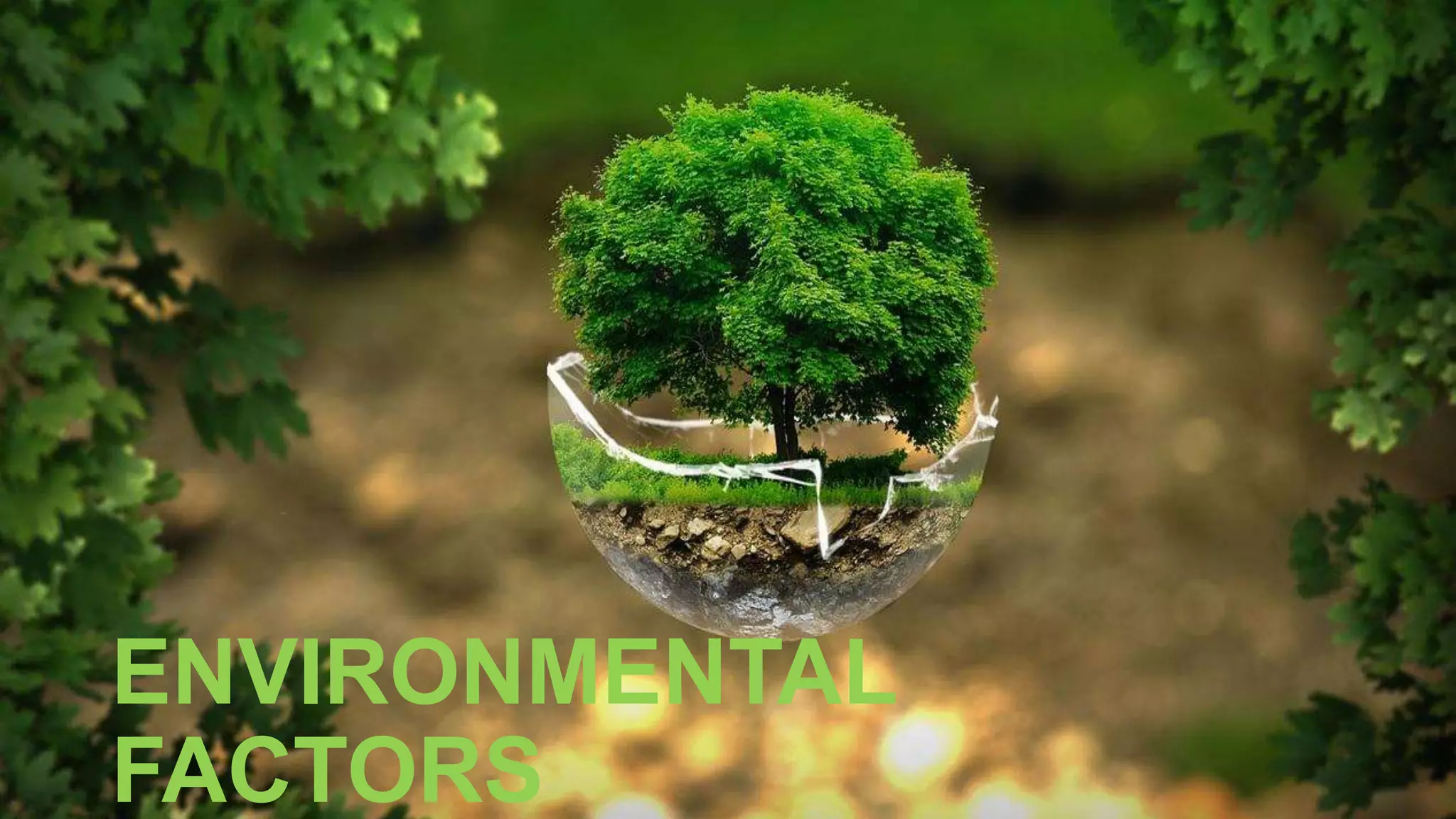 ENVIRONMENTAL
FACTORS
 