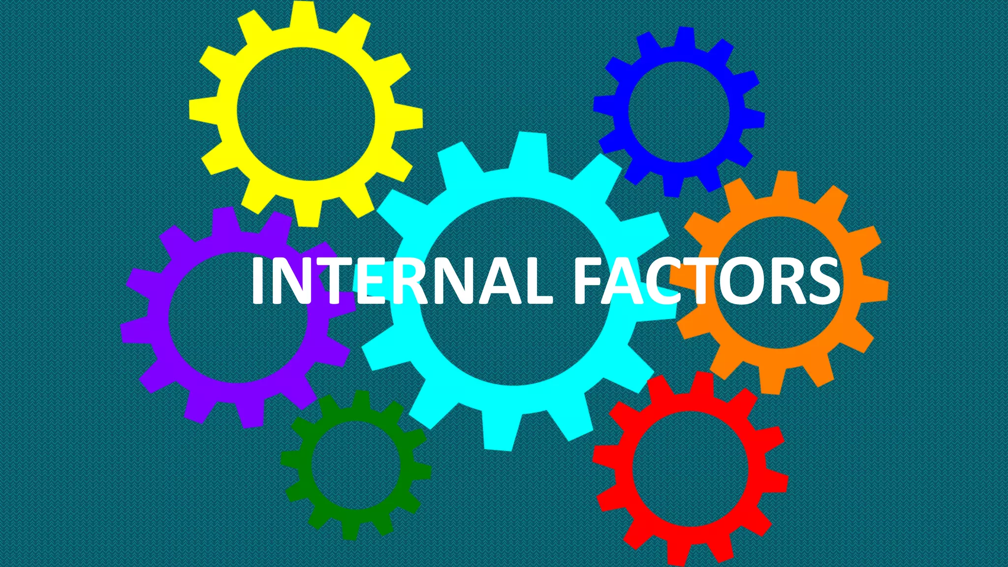 INTERNAL FACTORS
 