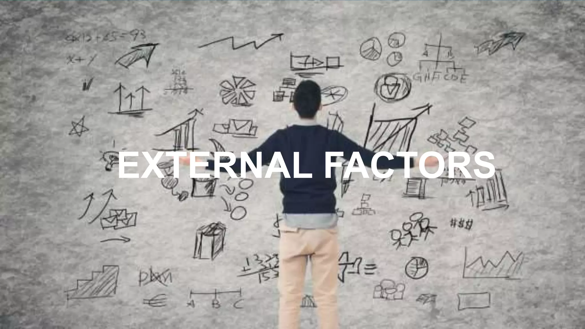 EXTERNAL FACTORS
 