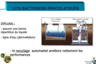 LITS BACTERIENS PERCOLATEURS Difficultés : assurer une bonne  répartition du liquide ligne d’eau (dénivellation) le  recyclage   automatisé améliore nettement les performances   