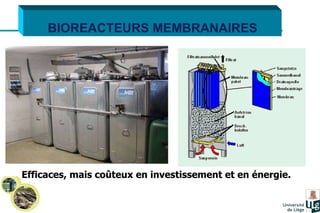 BIOREACTEURS MEMBRANAIRES Efficaces, mais coûteux en investissement et en énergie. 