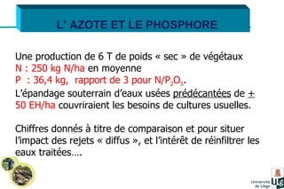 L’ AZOTE ET LE PHOSPHORE Une production de 6 T de poids « sec » de végétaux  N : 250 kg N/ha  en moyenne P  : 36,4 kg,  rapport de 3 pour N/P 2 O 5 .  L’épandage souterrain d’eaux usées  prédécantées  de  +   50 EH/ha  couvriraient les besoins de cultures usuelles. Chiffres donnés à titre de comparaison et pour situer l’impact des rejets « diffus », et l’intérêt de réinfiltrer les eaux traitées…. 