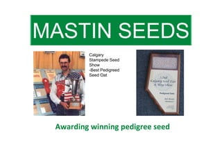 MASTIN SEEDS
         Calgary
         Stampede Seed
         Show
         -Best Pedigreed
         Seed Oat




 Awarding winning pedigree seed
 