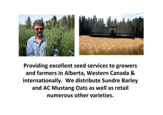 Providing excellent seed services to growers
 and farmers in Alberta, Western Canada &
internationally. We distribute Sundre Barley
    and AC Mustang Oats as well as retail
          numerous other varieties.
 