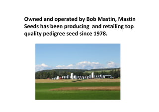 Owned and operated by Bob Mastin, Mastin
Seeds has been producing and retailing top
quality pedigree seed since 1978.
 