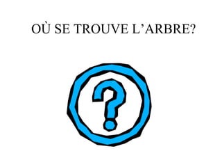 OÙ SE TROUVE L’ARBRE?
 