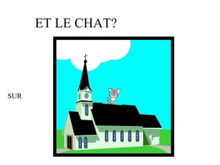 ET LE CHAT?
SUR
 
