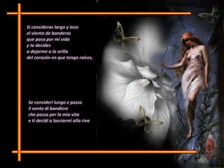 Si consideras largo y loco  el viento de banderas  que pasa por mi vida  y te decides a dejarme a la orilla del corazón en que tengo raíces, Se consideri lungo e pazzo  il vento di bandiere  che passa per la mia vita  e ti decidi a lasciarmi alla riva  