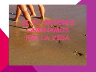 SI TU QUIERES
 CAMINAMOS
 POR LA VIDA
 