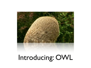 Introducing: OWL
 