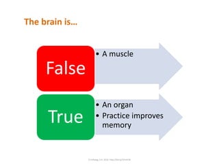 • A muscle
False
• An organ
• Practice improves
memory
True
The brain is…
C) Infoseg, S.A. 2016 http://bit.ly/1Eimh3k
 