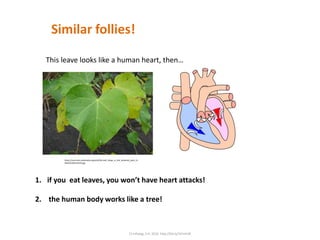 1. if you eat leaves, you won’t have heart attacks!
2. the human body works like a tree!
Similar follies!
This leave looks like a human heart, then…
https://commons.wikimedia.org/wiki/File:Leaf_shape_in_the_biodiesel_plant_%
284325264514%29.jpg
C) Infoseg, S.A. 2016 http://bit.ly/1Eimh3k
 