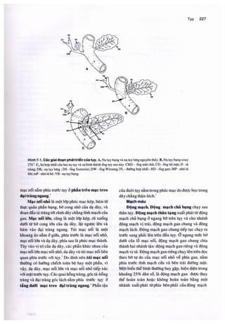 Siêu âm chẩn đoán