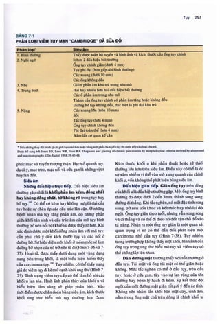 Siêu âm chẩn đoán