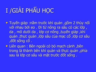 I /GIẢI PHẨU HỌC
• Tuyến giáp :nằm trước khí quản ,gồm 2 thùy nối
với nhau bởi eo . Đi từ nông ra sâu có các lớp ,
da , mô dưới da , lớp cơ nông ,tuyến giáp ,khí
quản ,thực quản ,lớp sâu của mạc cổ ,lớp cơ sâu
,đốt sống cổ .
• Liên quan : Bên ngoài có bó mạch cảnh ,bên
trong là thành bên khí quản và thực quản ,phía
sau là lớp cơ sâu và mặt trước đốt sống .
 