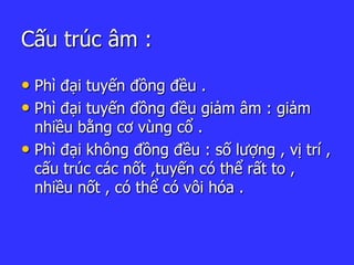 Cấu trúc âm :
• Phì đại tuyến đồng đều .
• Phì đại tuyến đồng đều giảm âm : giảm
nhiều bằng cơ vùng cổ .
• Phì đại không đồng đều : số lượng , vị trí ,
cấu trúc các nốt ,tuyến có thể rất to ,
nhiều nốt , có thể có vôi hóa .
 