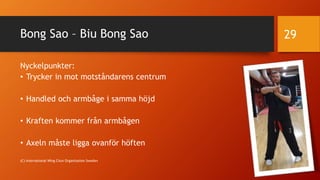 Wing Chun - Siu Nim Tao (Swedish)