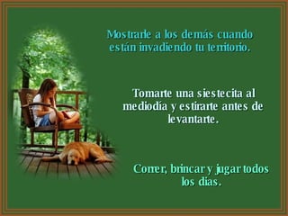 Mostrarle a los demás cuando están invadiendo tu territorio. Tomarte una siestecita al mediodía y estirarte antes de levantarte. Correr, brincar y jugar todos los dias. 