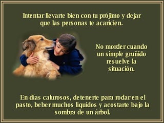 Intentar llevarte bien con tu prójimo y dejar que las personas te acaricien. No morder cuando un simple gruñido resuelve la situación. En días calurosos, detenerte para rodar en el pasto, beber muchos líquidos y acostarte bajo la sombra de un árbol. 