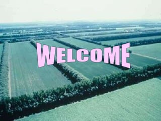 WELCOME 