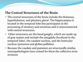 Central Structures Centeral nervous system | PPTX