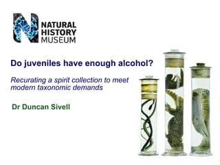 Dr Duncan Sivell
Do juveniles have enough alcohol?
Recurating a spirit collection to meet
modern taxonomic demands
 
