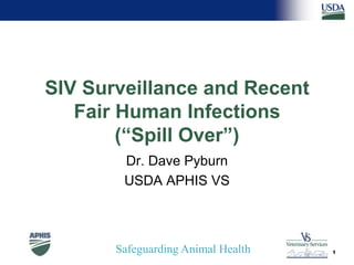 SIV Surveillance and Recent
   Fair Human Infections
        (“Spill Over”)
        Dr. Dave Pyburn
        USDA APHIS VS



       Safeguarding Animal Health   1
 