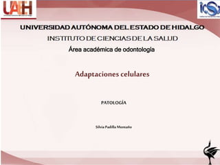 Área académica de odontología
Adaptaciones celulares
PATOLOGÍA
Silvia PadillaMontaño
 