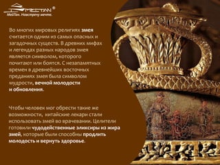 Чтобы человек мог обрести такие же
возможности, китайские лекари стали
использовать змей во врачевании. Целители
готовили чудодейственные эликсиры из жира
змей, которые были способны продлить
молодость и вернуть здоровье.
Во многих мировых религиях змея
считается одним из самых опасных и
загадочных существ. В древних мифах
и легендах разных народов змея
является символом, которого
почитают или боятся. С незапамятных
времен в древнейших восточных
преданиях змея была символом
мудрости, вечной молодости
и обновления.
 