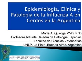 María A. Quiroga MVD, PhD
Profesora Adjunta Cátedra de Patología Especial
               Facultad de Ciencias Veterinarias
        UNLP. La Plata, Buenos Aires. Argentina
 