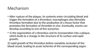 Mechanism
• After rupture of the plaque, its contents enter circulating blood and
trigger the formation of a thrombus; macrophages also stimulate
thrombus formation due to the production of a tissue factor that
promotes the formation of thrombin in vivo. Eventually, events can
develop according to one of five scenarios:
• 1) the organization of a thrombus and its incorporation into a plaque,
which leads to a change in the structure of its surface and rapid
growth;
2) rapid growth of the thrombus before complete occlusion of the
blood vessel, leading to acute ischemia of the corresponding organ;
 