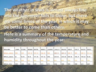 The weather in Siwa is almost always fine and the sun never fails to shine, but there are some times of the year in which it may be better to come than others. Here is a summary of the temperature and humidity throughout the year: