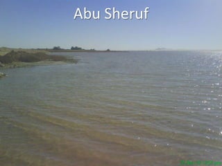 Abu Sheruf