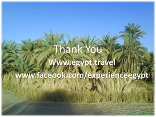 Thank YouWww.egypt.travelwww.faceook.com/experienceegypt