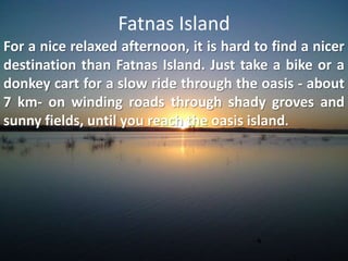 Fatnas IslandFor a nice relaxed afternoon, it is hard to find a nicer destination than Fatnas Island. Just take a bike or a donkey cart for a slow ride through the oasis - about 7 km- on winding roads through shady groves and sunny fields, until you reach the oasis island.