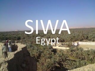 SIWA Egypt 