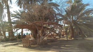 Siwa oasis 1