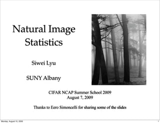 Natural Image
              Statistics
                           Siwei Lyu

                          SUNY Albany

                                     CIFAR NCAP Summer School 2009
                                             August 7, 2009

                            Thanks to Eero Simoncelli for sharing some of the slides


Monday, August 10, 2009                                                                1
 