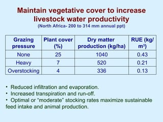 Improving livestock water productivity to help satisfy future human dietary requirements in developing countries