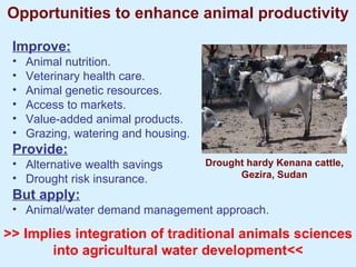 Improving livestock water productivity to help satisfy future human dietary requirements in developing countries