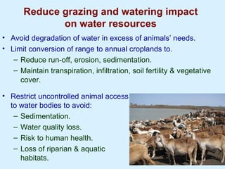 Improving livestock water productivity to help satisfy future human dietary requirements in developing countries