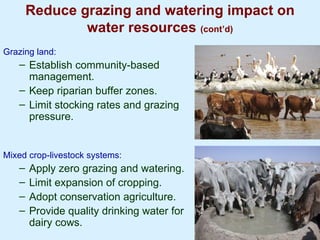 Improving livestock water productivity to help satisfy future human dietary requirements in developing countries
