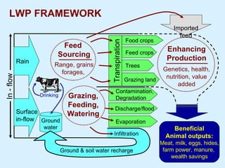 Improving livestock water productivity to help satisfy future human dietary requirements in developing countries
