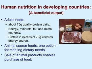Improving livestock water productivity to help satisfy future human dietary requirements in developing countries